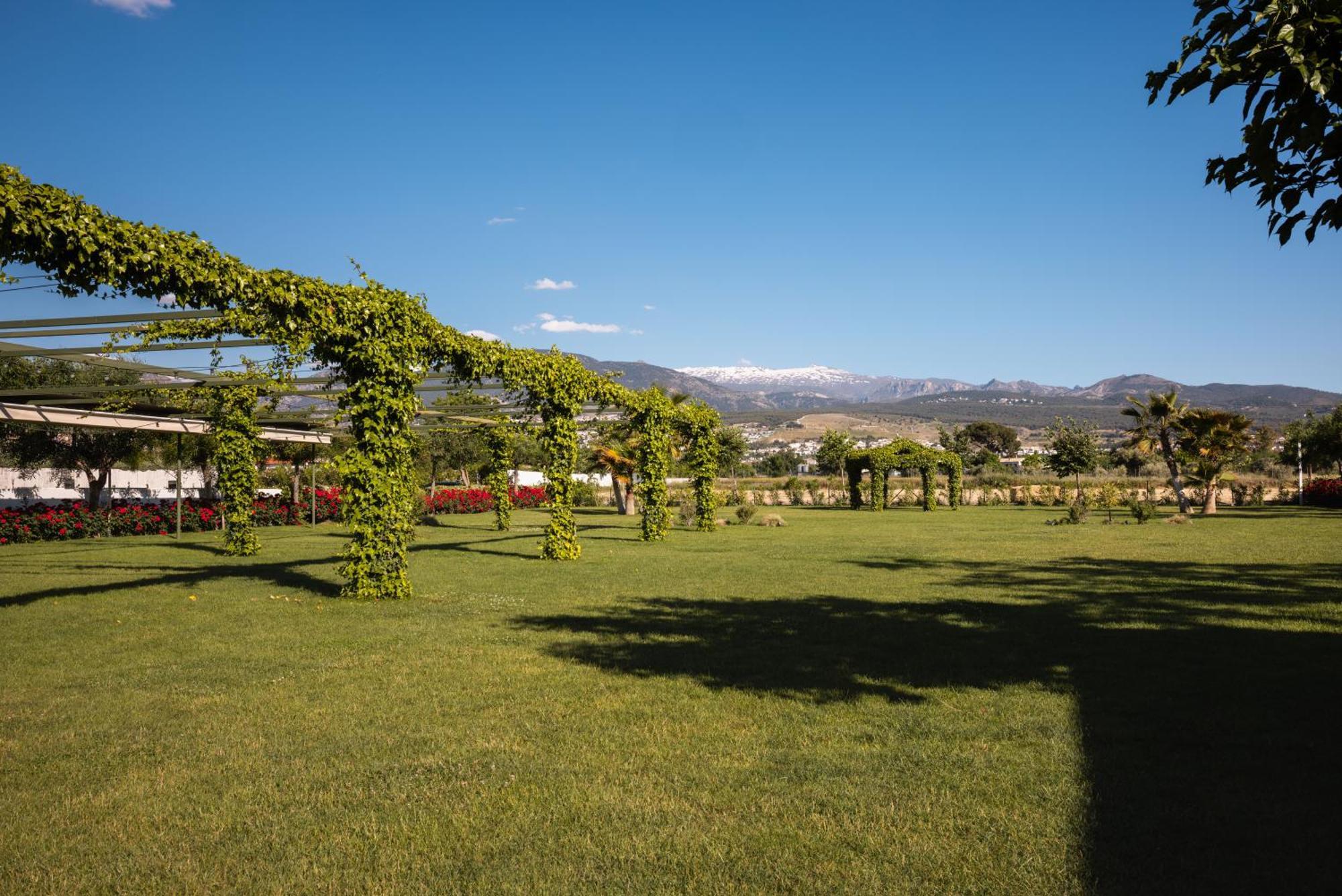 Cortijo El Maizal Villa Granada Eksteriør bilde